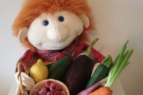 Teaser Anmeldung ab sofort für BRUNO VITAMINI - unser kostenloses Ernährungsprojekt im Kindergarten